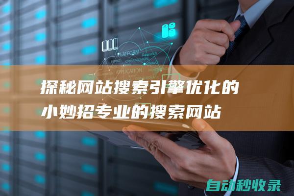 探秘網站搜索引擎優化的小妙招專業的搜索網站
