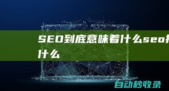 SEO到底意味著什么seo指的什么