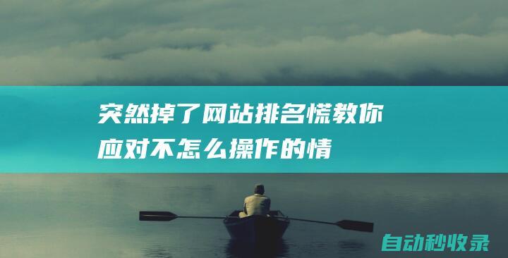 突然掉了網站排名慌教你應對不怎么操作的情