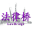上海私募基金律師-PE法律橋:上海楊春寶一級(jí)律師|您的私募基金法律顧問(wèn)