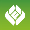 首頁—魯豐致力于打造有機農業 - 山東魯豐生物技術有限公司