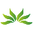 深圳小草信息科技有限公司，為應急、公安、消防等行業(yè)提供網絡傳輸解決方案