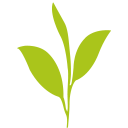 伯遠生物 讓轉化成為貫穿組學 基因功能研究的萬千河流