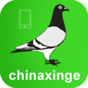 中信網(wǎng)-信鴿信息網(wǎng)