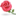 網上送花,鮮花速遞,全國鮮花訂購平臺|時尚鮮花網-www.flower18.com.cn