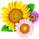 花卉_養(yǎng)花技巧_花卉知識大全_養(yǎng)花達(dá)人第一網(wǎng)站-海洋花卉網(wǎng)