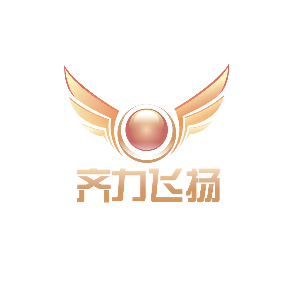 成都齊力飛揚(yáng)企業(yè)管理有限公司