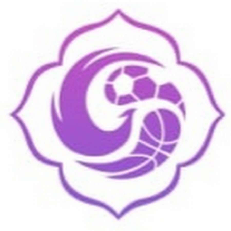 順風順水網絡-網站建設-軟件編程-網頁設計-企業(yè)建站