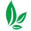 正山堂茶業|普安紅茶|貴州茶葉公司就找貴州正山堂普安紅茶業有限責任公司