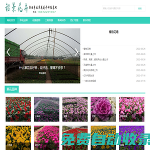 西安草花批發(fā)|西安草花基地|西北最大草花花卉種植基地