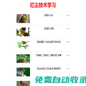悠悠資源網(wǎng) - 優(yōu)質(zhì)互聯(lián)網(wǎng)去廣告軟件分享，專(zhuān)注收集網(wǎng)絡(luò)精品資源平臺(tái),UU資源網(wǎng),有有資源網(wǎng)