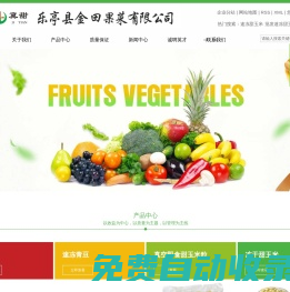 速凍甜玉米_速凍甜玉米粒批發(fā)/價格-樂亭縣金田果菜有限公司