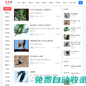 花鳥吧專注鳥類愛護，鳥類飼養，鳥類知識大全，鳥類大全，鳥類網