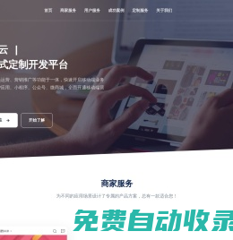 專(zhuān)業(yè)系統(tǒng)開(kāi)發(fā)商-預(yù)付云