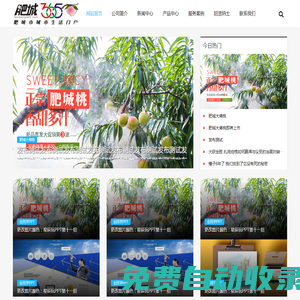肥城生活網-肥城365天,天天快樂。 - www.feicheng365.com