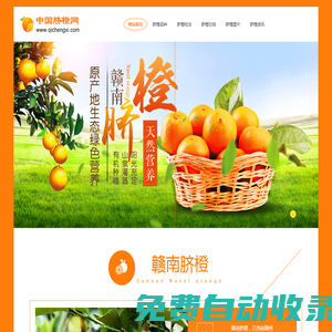 贛南臍橙-臍橙的作用與功效-專業的臍橙產品知識網站 - 中國臍橙網