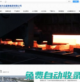 寧波興業(yè)盛泰集團(tuán)有限公司