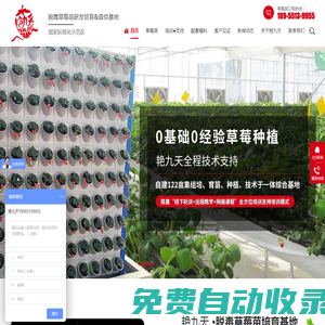 草莓種苗,草莓脫毒種苗,草莓生產(chǎn)苗,紅顏草莓種苗,草莓種苗批發(fā)-合肥市艷九天農(nóng)業(yè)科技有限公司