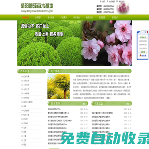 洛陽普澤苗木基地，洛陽普澤綠化工程苗木基地，綠化苗木基地
