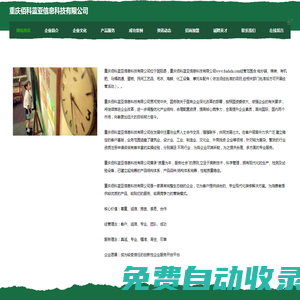 重慶佰科藍亞信息科技有限公司
