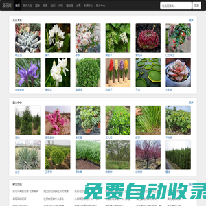 花卉_花卉綠植_花卉大全-愛花網(wǎng)