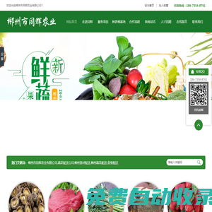 同輝影院-最新電視劇免費觀看全集