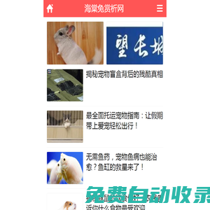 布偶貓,比利時獵犬知識網_海棠兔賞析網