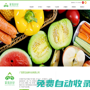 廣西菜花信息科技有限公司