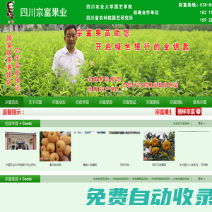 成都天府新區(qū)裴忠富果業(yè)精品開發(fā)服務部