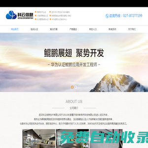 武漢科云信息技術有限公司