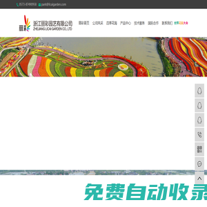 郁金香種球_花卉種子批發_公園景觀設計-浙江麗彩園藝有限公司