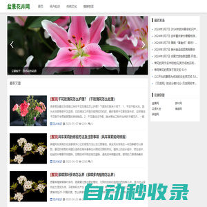 雪在香盆景網 - 國內最專業室內盆景，花卉盆栽在線交易第一平臺