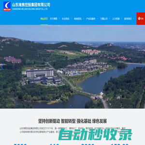 山東濰焦控股集團(tuán)有限公司