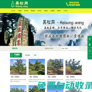 黑松網(wǎng) - 造型黑松_景觀造型黑松_造型黑松批發(fā)_景點綠化黑松_黑松基地直供_買黑松就來 Heisong.wang