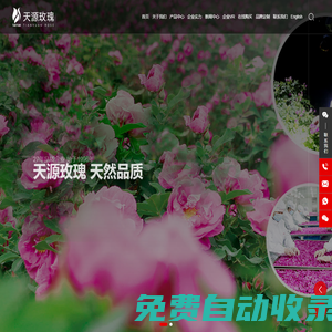 濟南天源玫瑰制品開發有限公司_玫源_玫瑰茶