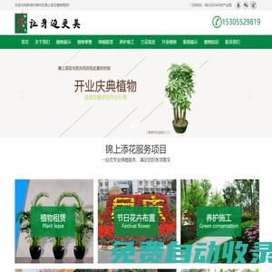 專業(yè)辦公室植物租賃價(jià)格！為您提供室內(nèi)優(yōu)質(zhì)盆栽、租花卉、綠植租擺零售批發(fā)一體化服務(wù) - 蚌埠錦上添花植物租售公司