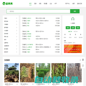苗青青_苗木求購批發(fā)價(jià)格_苗木銷售平臺_園林綠化苗木網(wǎng)_青青花木網(wǎng)