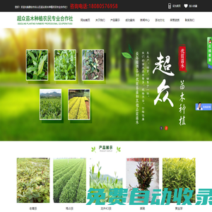 雅安市名山區超眾苗木種植農民專業合作社