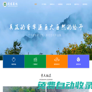 漫埕森林-緊臨銅鑼壩國家森林公園_必去網紅打卡景點