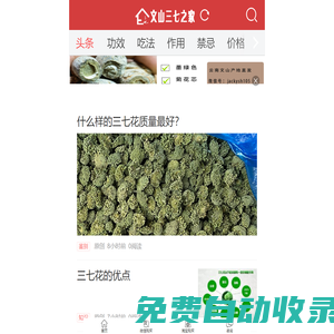 文山三七之家-三七專業(yè)網(wǎng)站,三七粉,三七花等功效,作用,正確吃法,禁忌,價(jià)格,批發(fā),零售報(bào)價(jià)網(wǎng)站