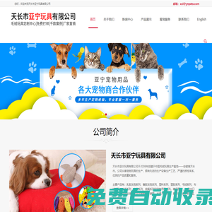 天長(zhǎng)市亞寧玩具有限公司