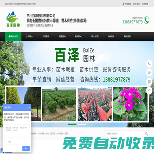 四川綠化苗木_苗木基地_苗木價格_苗木批發(fā)-四川百澤園林有限公司