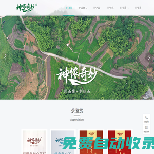 福建東奇茶產業發展有限公司|神儂奇妙