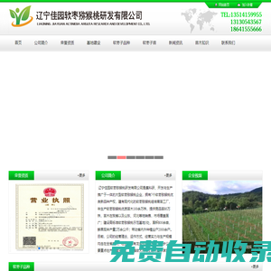 遼寧佳園軟棗獼猴桃研發(fā)有限公司-軟棗子苗，軟棗子獼猴桃苗,軟棗獼猴桃苗,軟棗獼猴桃,奇異莓,奇異莓苗