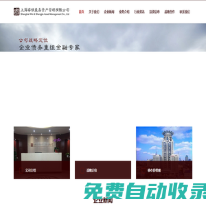 睿銀盛嘉|債務重組金融專家|不良資產投資管理公司|上海睿銀盛嘉資產管理有限公司-上海睿銀盛嘉資產管理有限公司