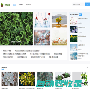 多肉大本營_多肉植物_多肉植物第一全媒體_中國領先的多肉植物論壇