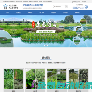 濕地水景綠化_人工生態(tài)浮島_水生植物培育基地-河北雄安源蓮生態(tài)