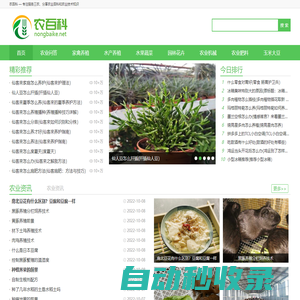 農百科-專注服務三農、分享農業百科和農業技術知識