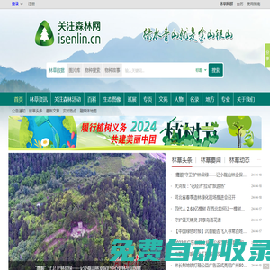 關注森林