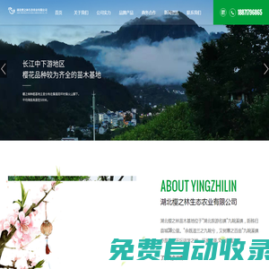湖北櫻之林生態(tài)農(nóng)業(yè)有限公司-櫻之林苗木基地-櫻花種苗-櫻花-紅楓